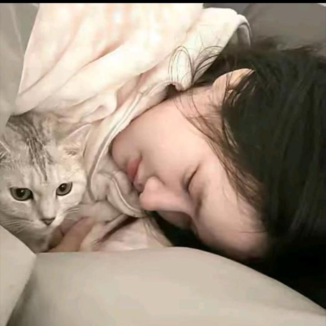 彩
