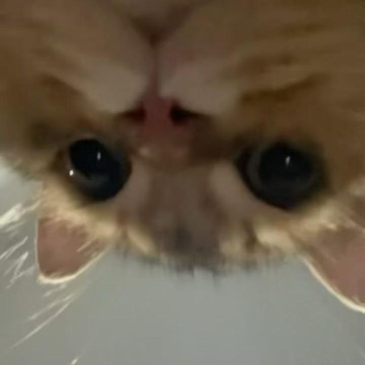 -月