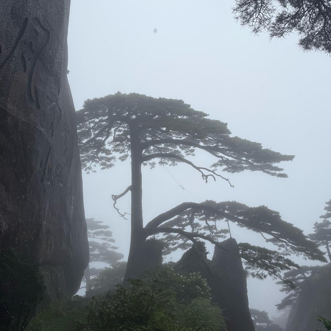 阳光小镇