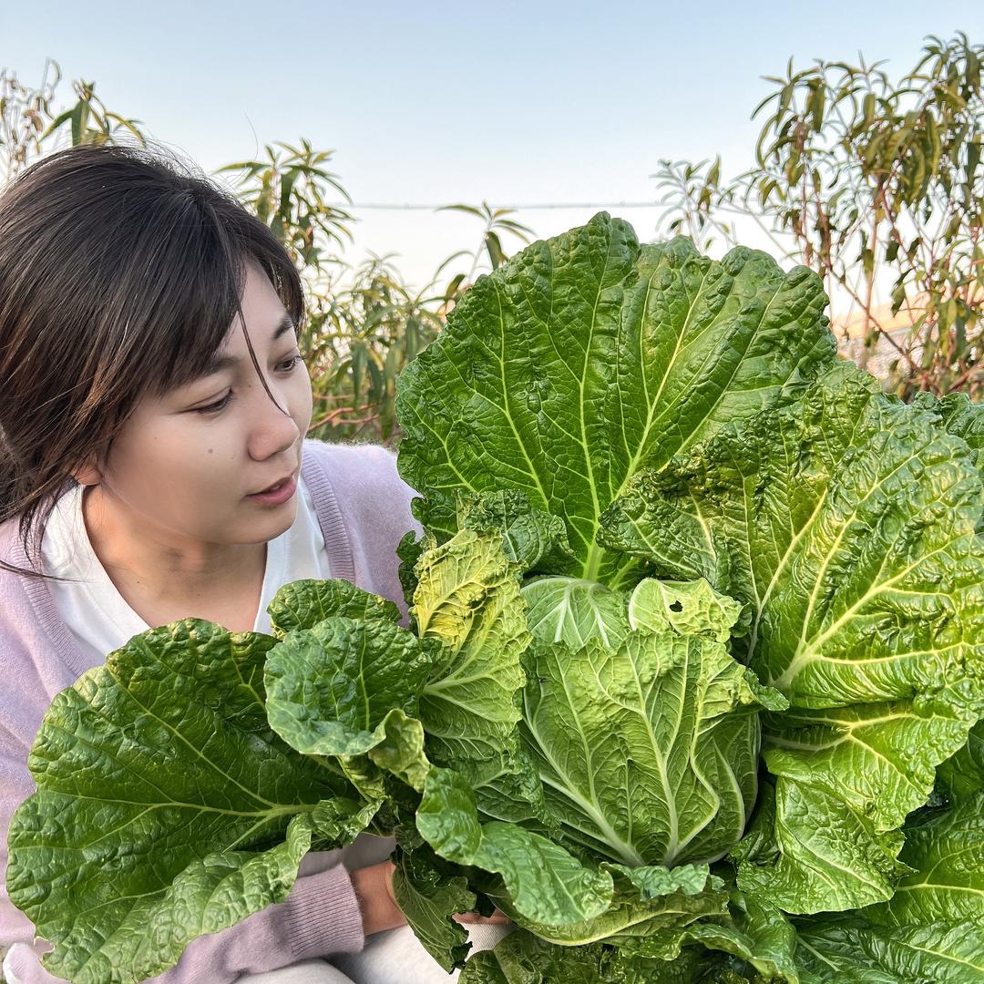 周小花