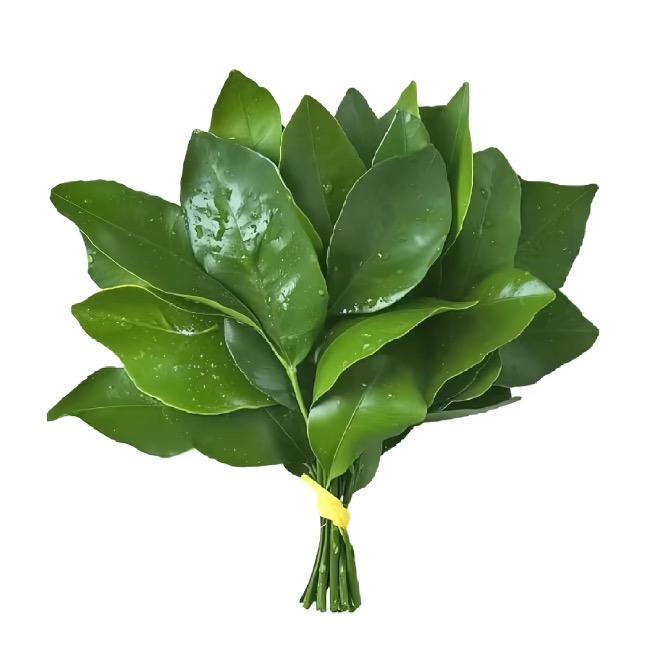 你在发什么呆