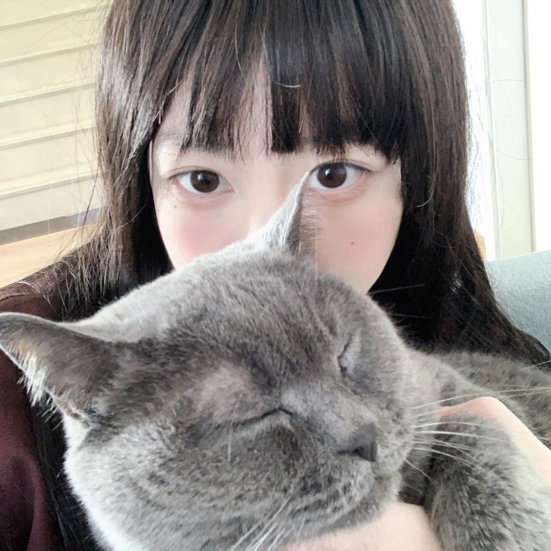 温柔轩.