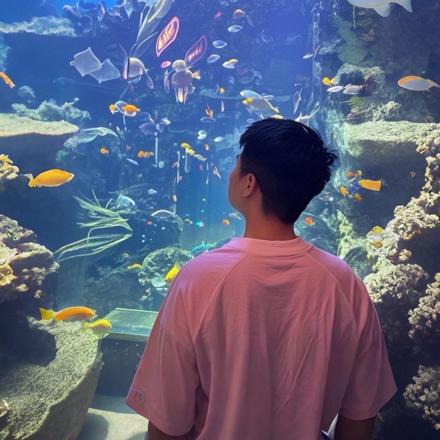 石板房村委会 小小陈