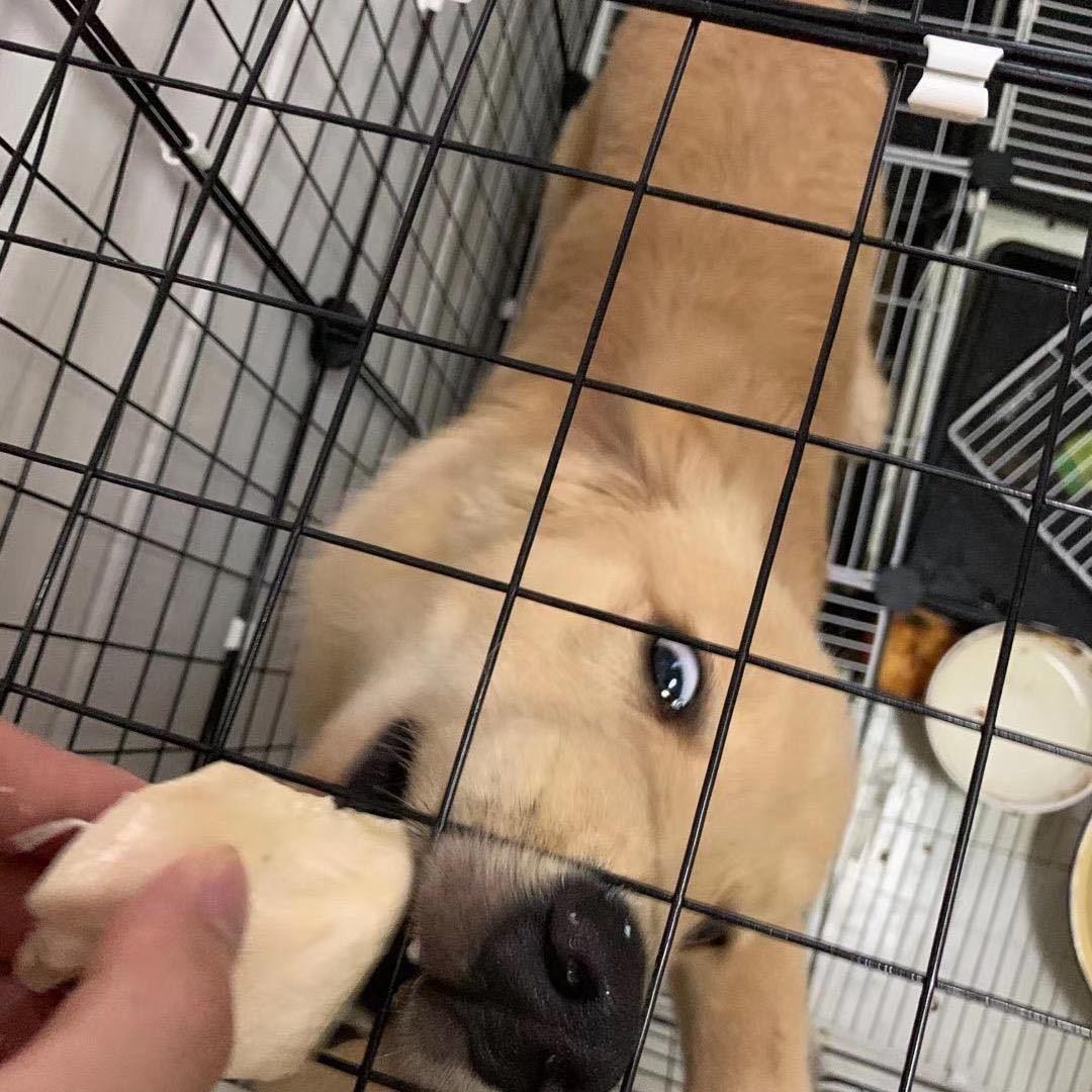 ～