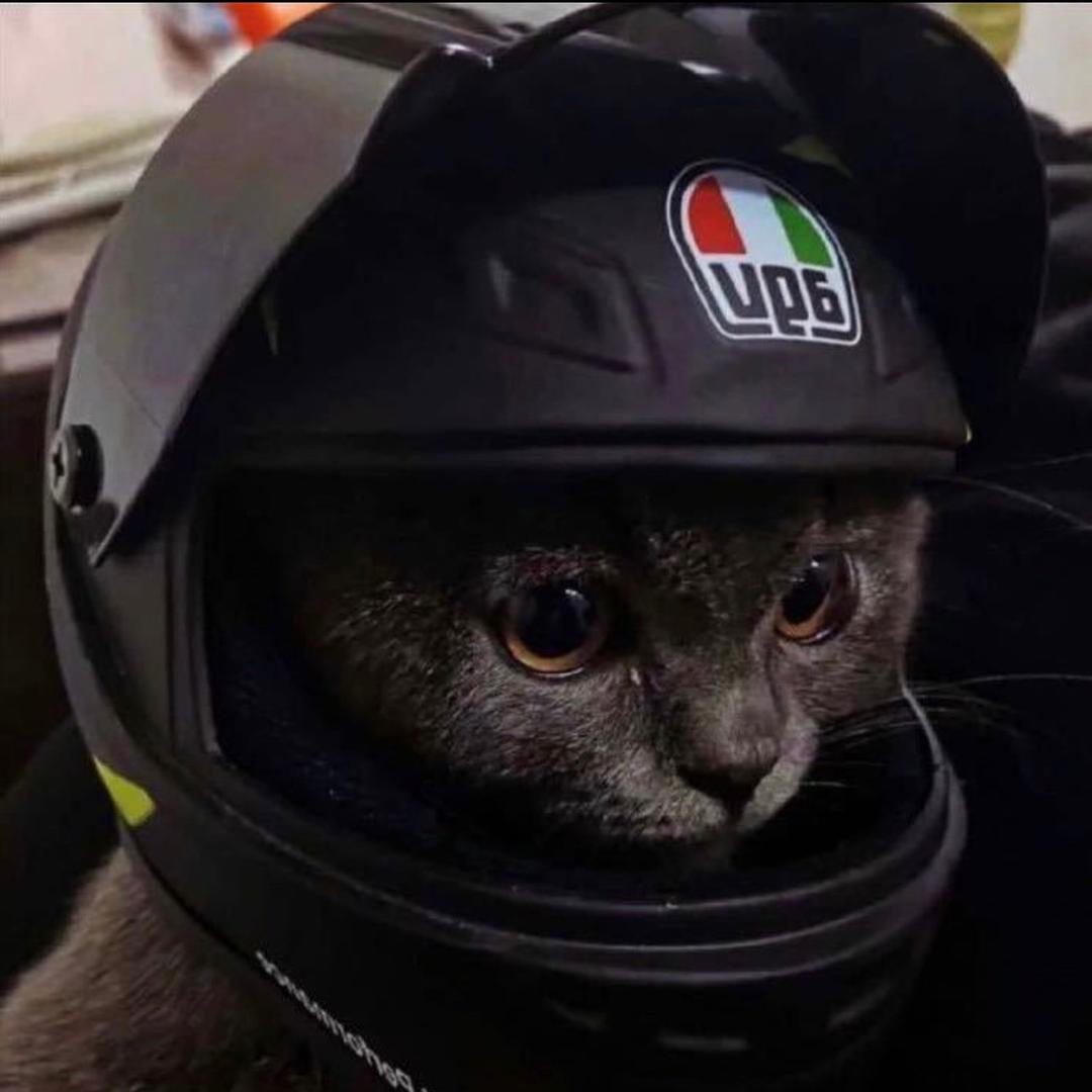 田先生