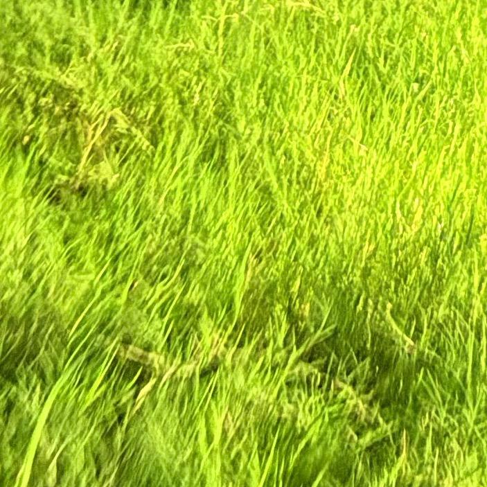 ，，会
