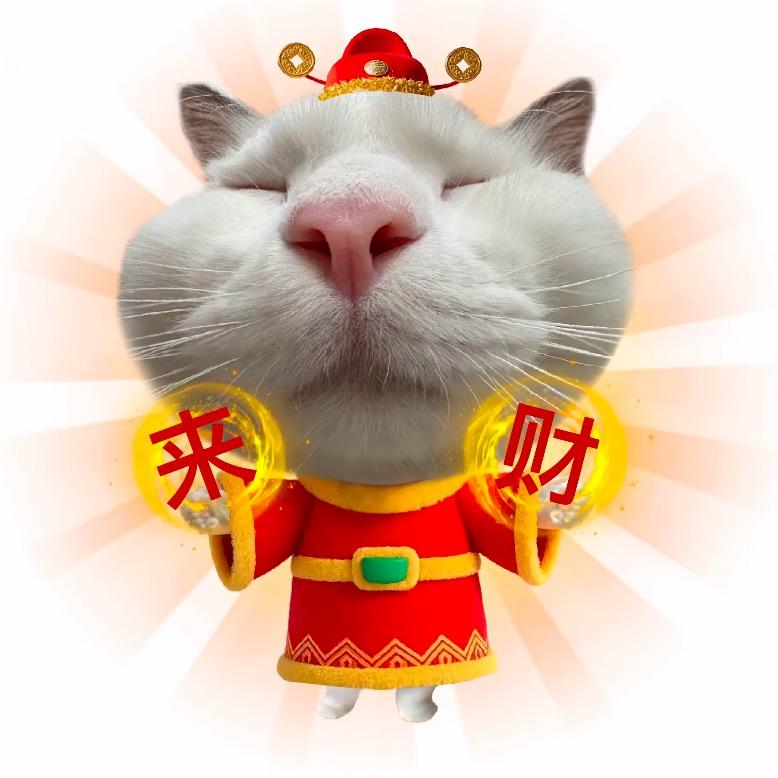 来财小猫咪