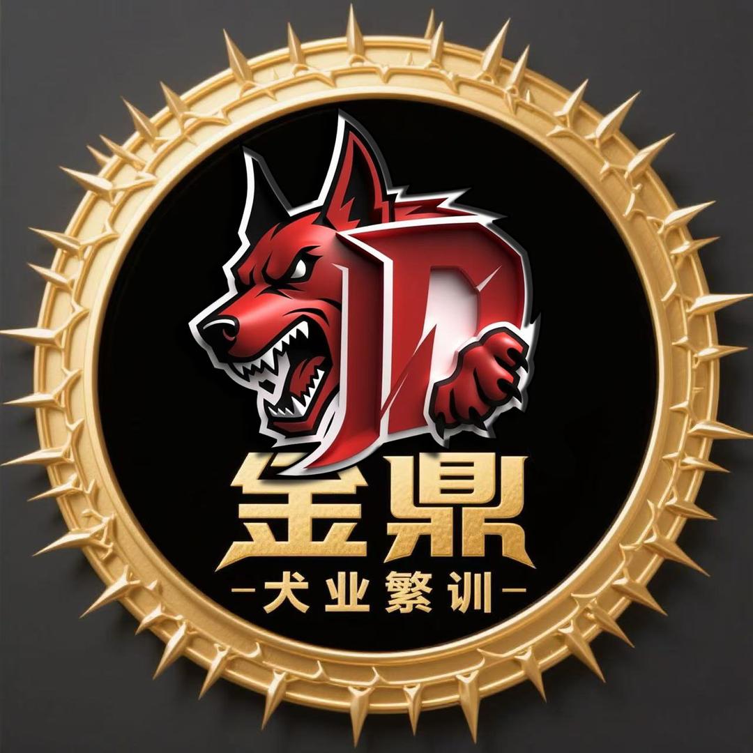 金鼎犬业繁训
