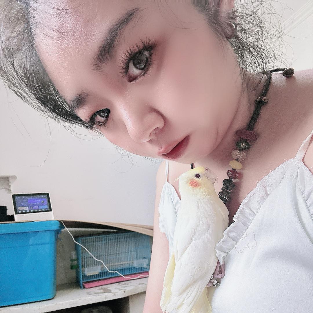 限量版的小祖宗的小鸡小九九