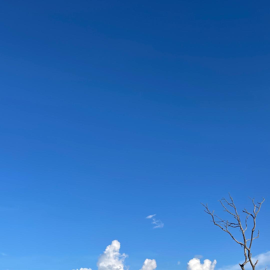 用户52315798