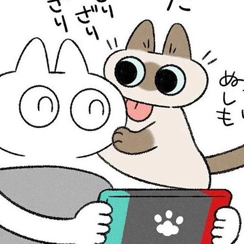 #321这里是呆呆🫧