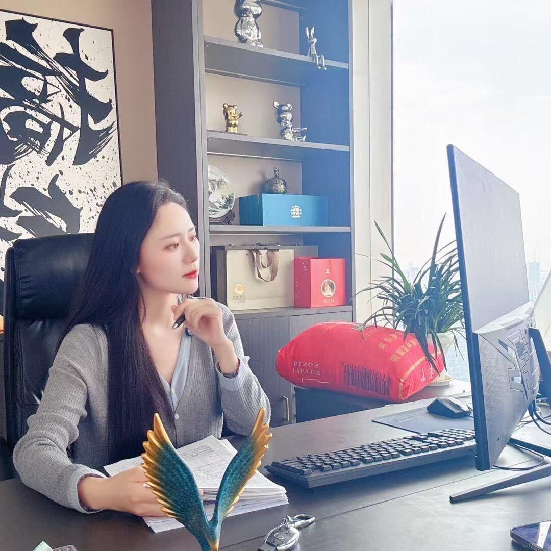 巧儿（互联网创业版）