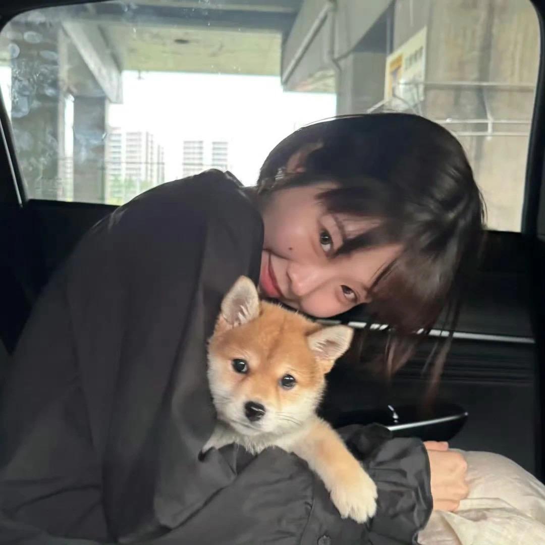 春的来意