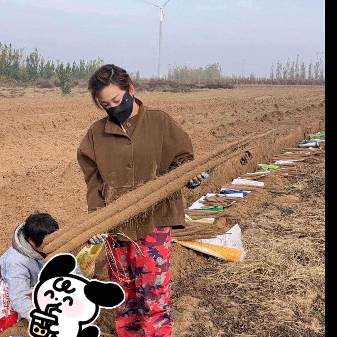 小薇薇🧍‍♀️