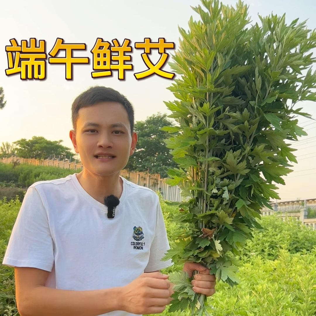 罗艾灸堂
