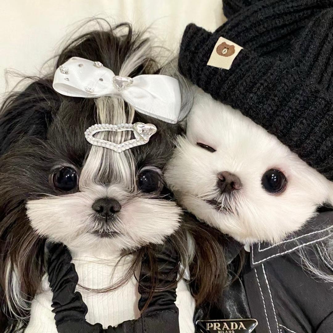 美少女战士Rrr-🧚‍♀️