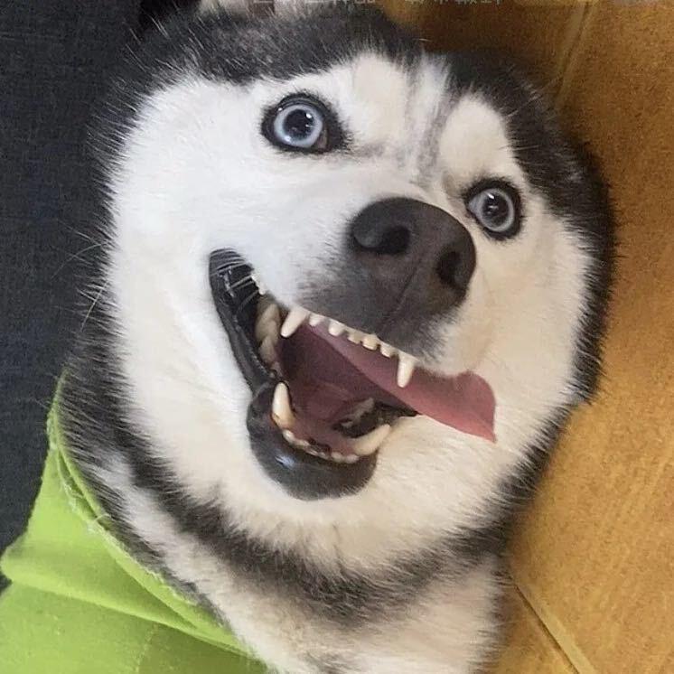 黑白
