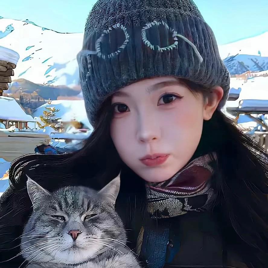 呆呆