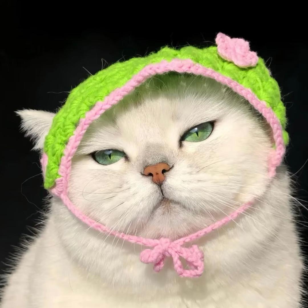 美女的烦心柿