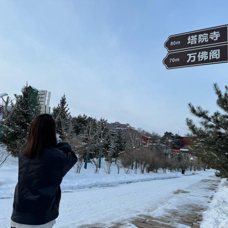 草莓长在树上🍓