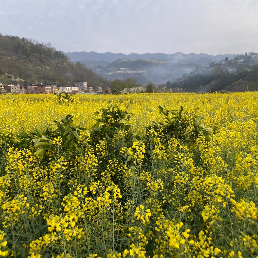 乡村大嫂