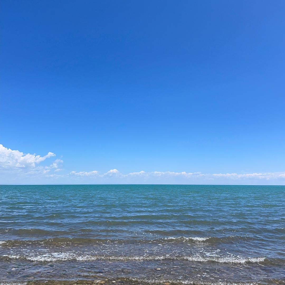 沅沅
