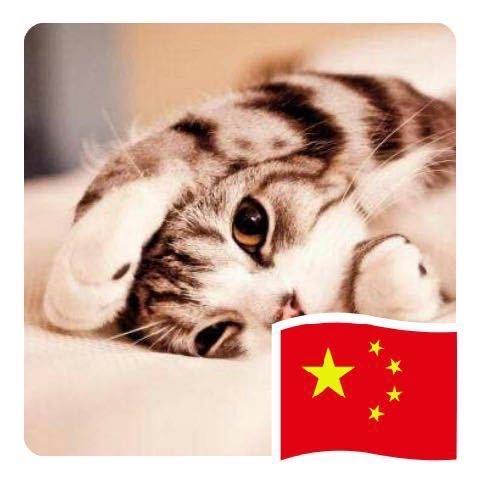 加油！兄弟
