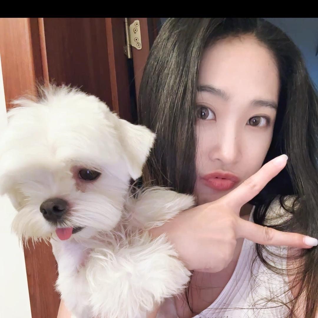 💛黄咩咩oBo🧡