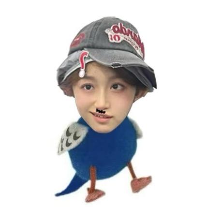 张一鸟