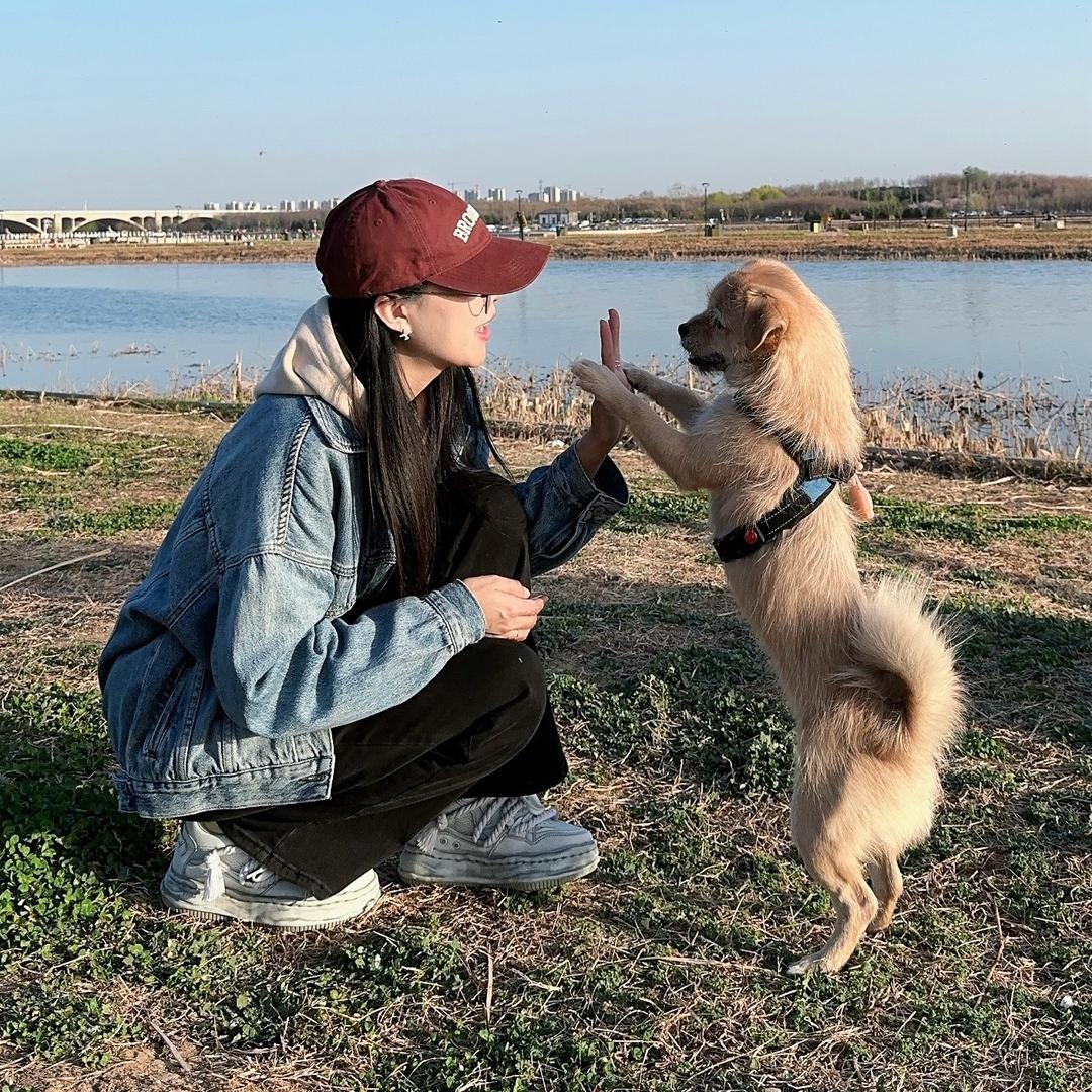 🦋飞到目的地的飞