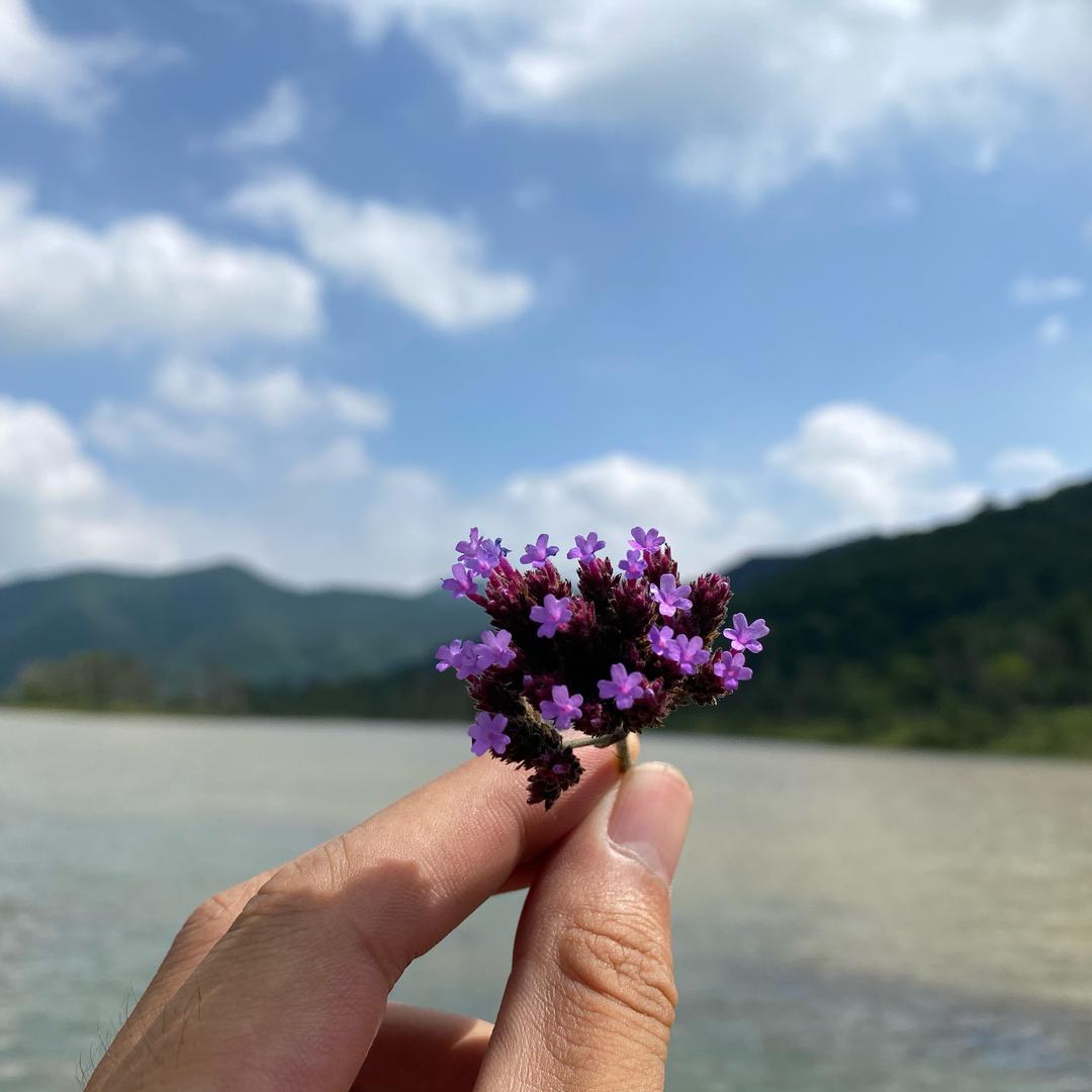 石頭
