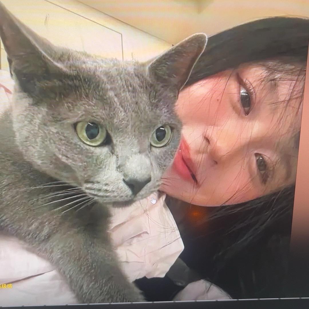 小🐑的生活分享