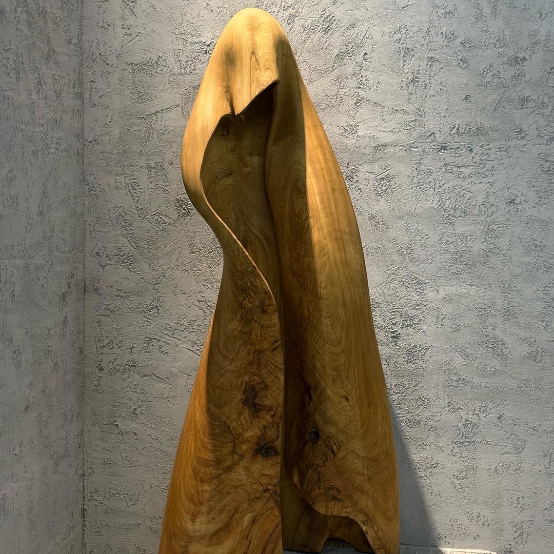 努力中的毛大叔