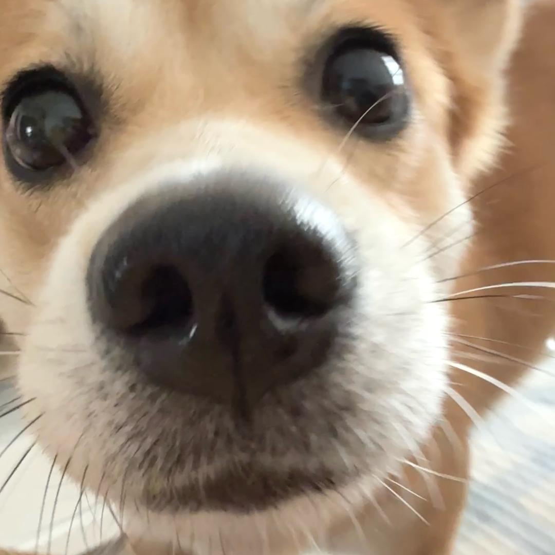 笨蛋早点睡