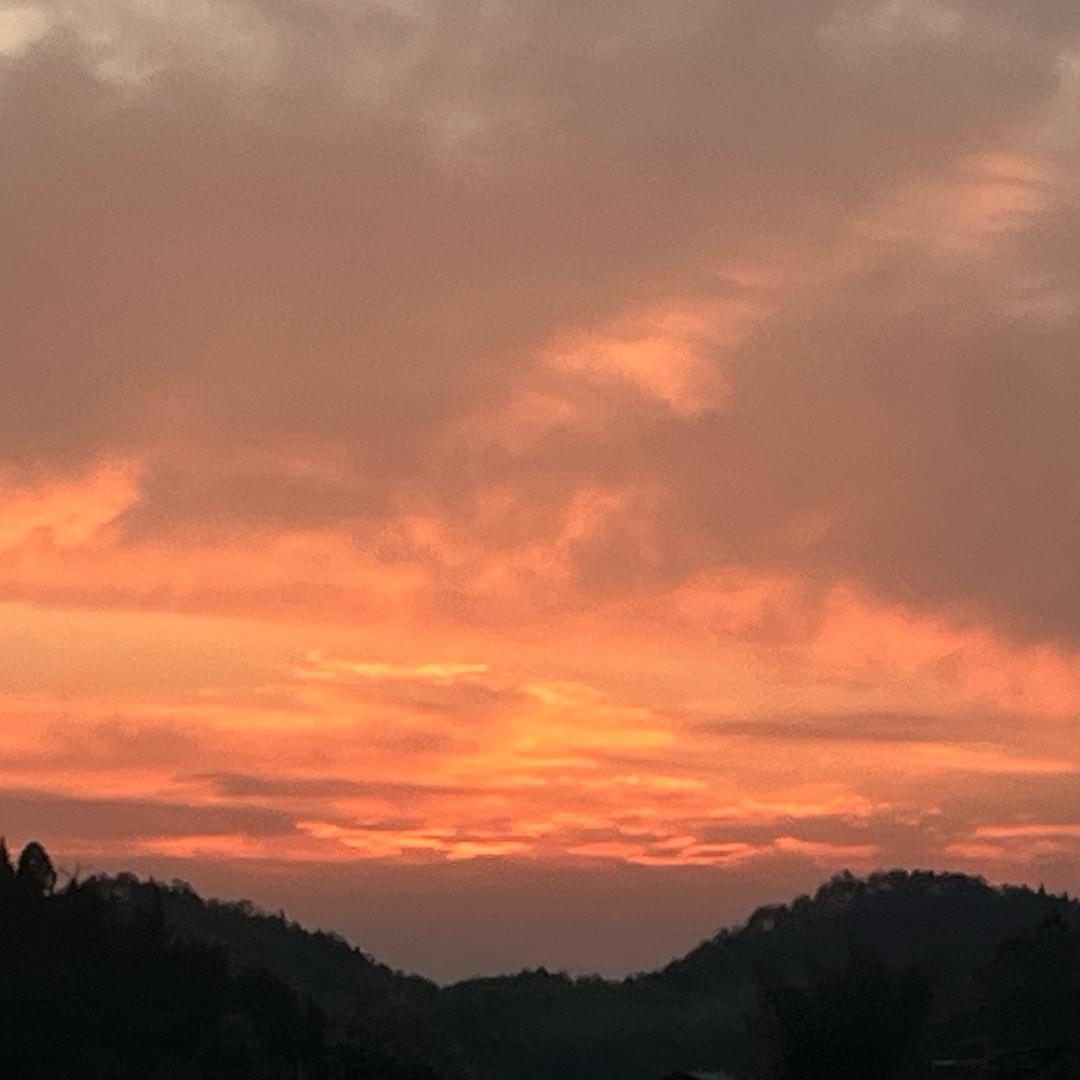 傲鱼居