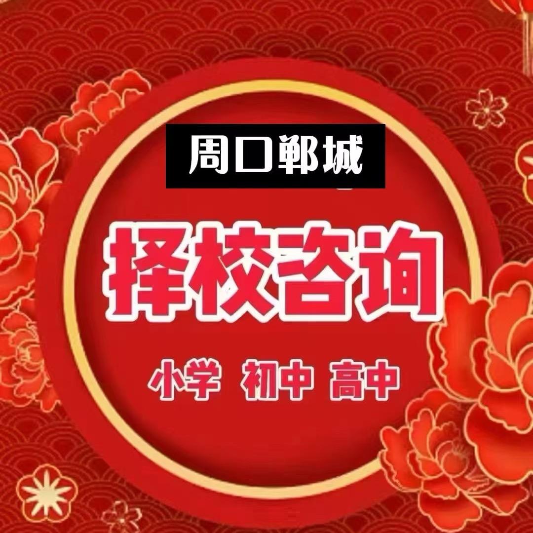 教育-咨询