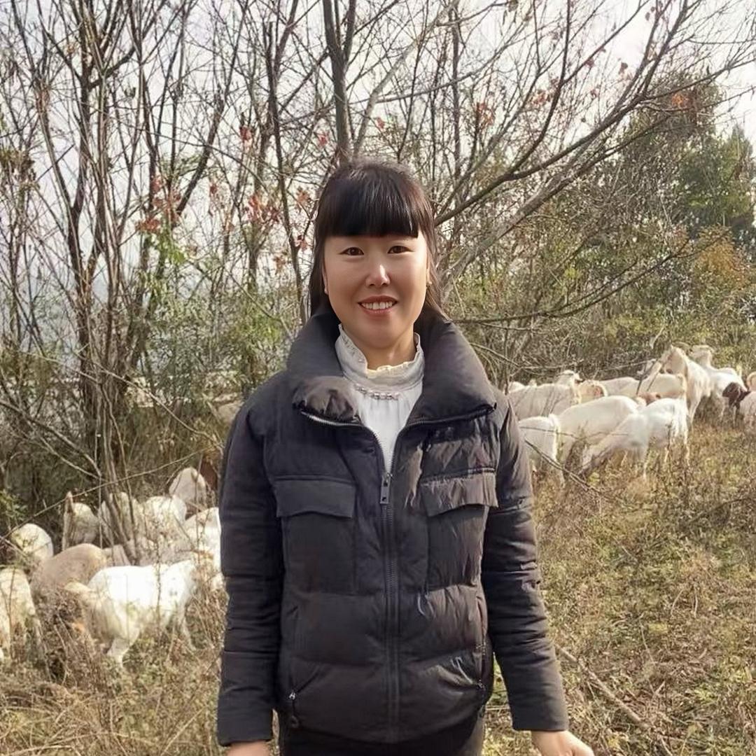 山里放羊妹