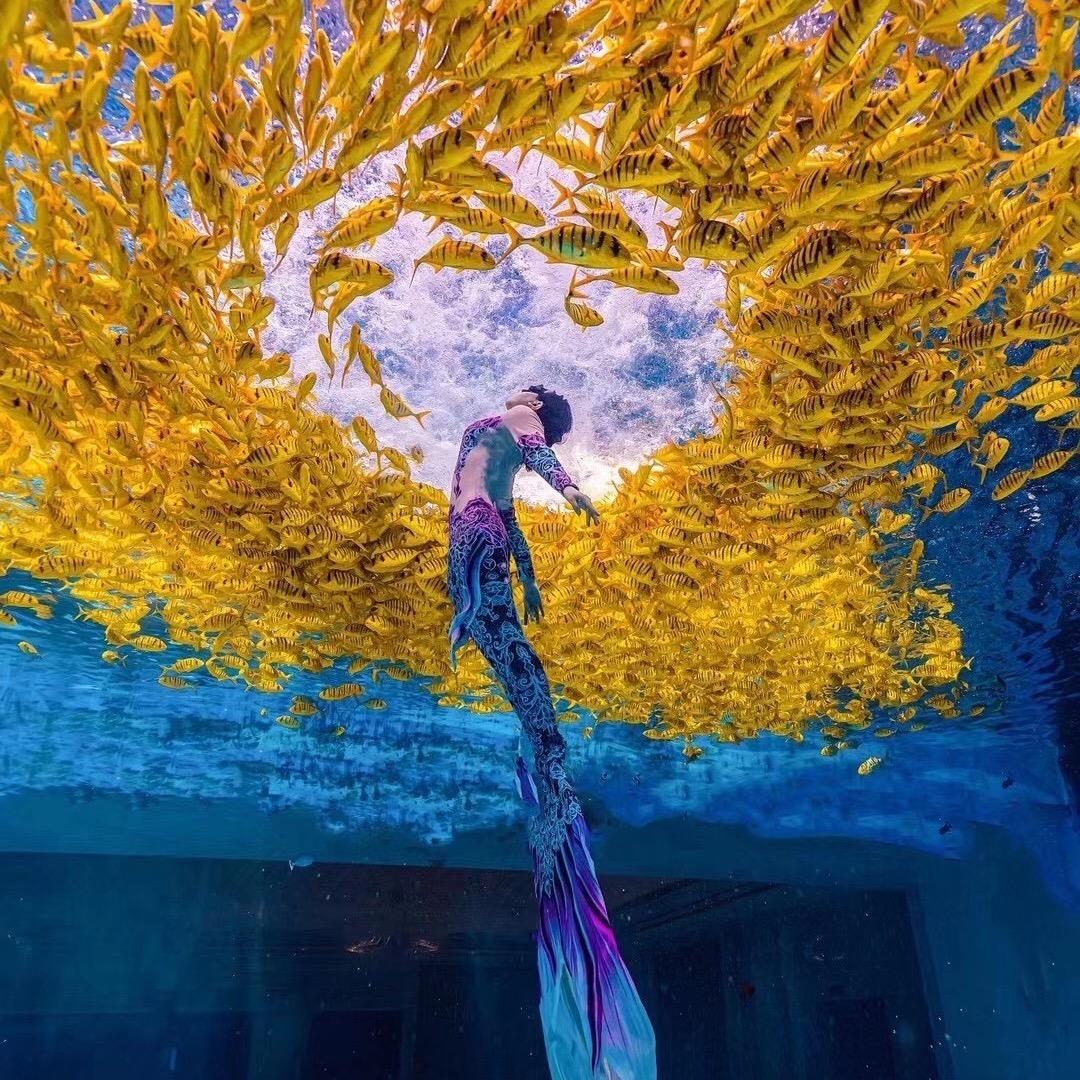 潜羽美人鱼潜水运动