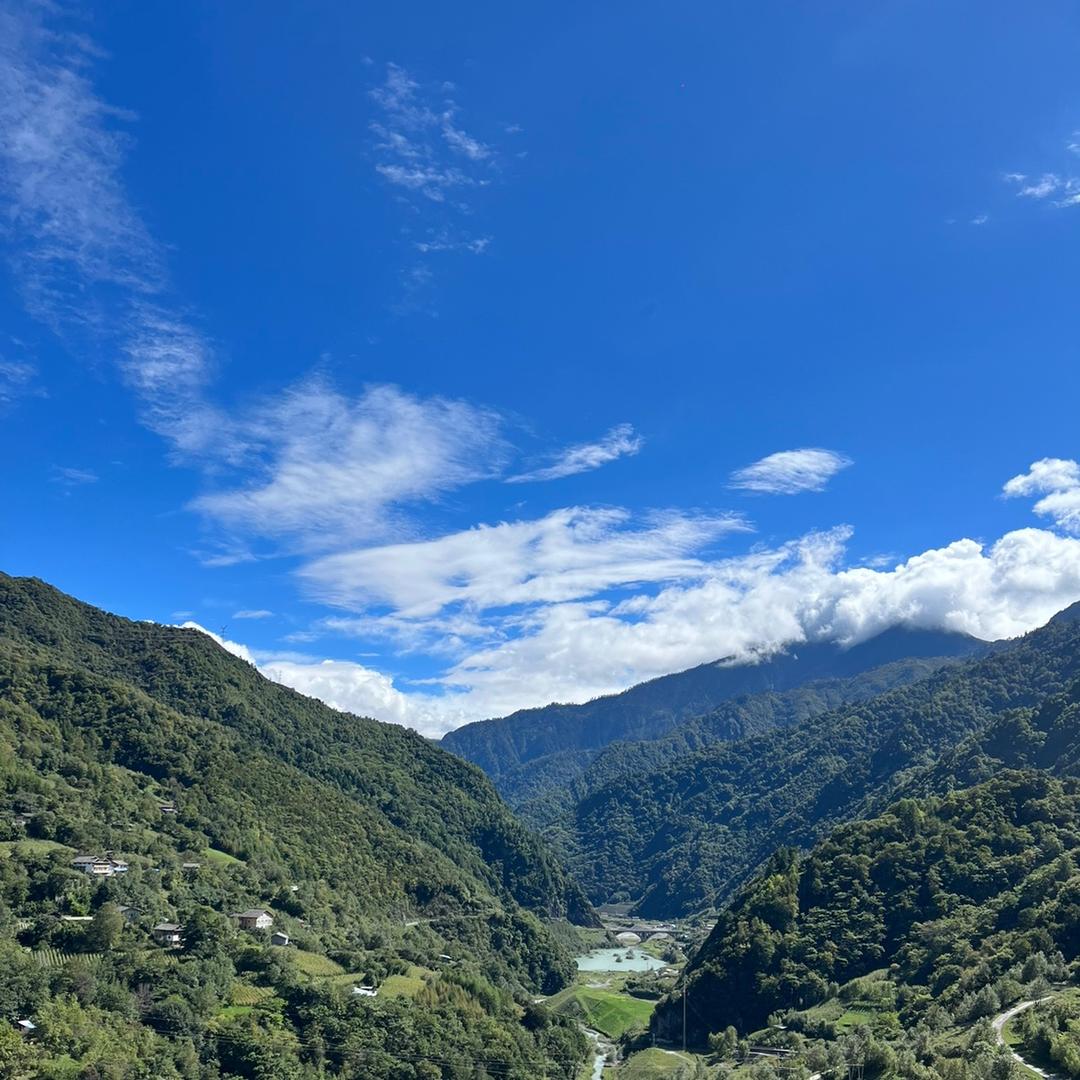 小付