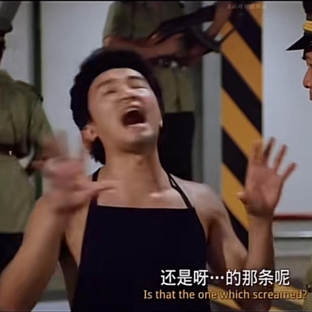 灰鸽子