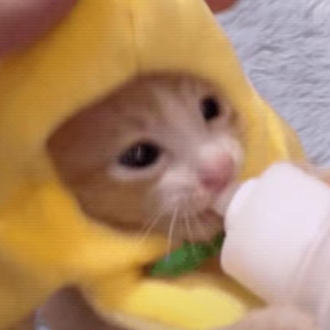 SikZ