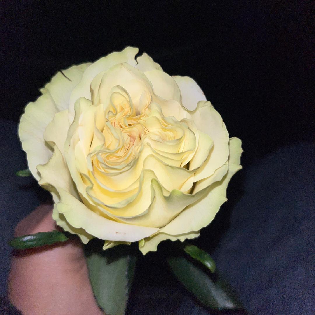 我是一颗小石头