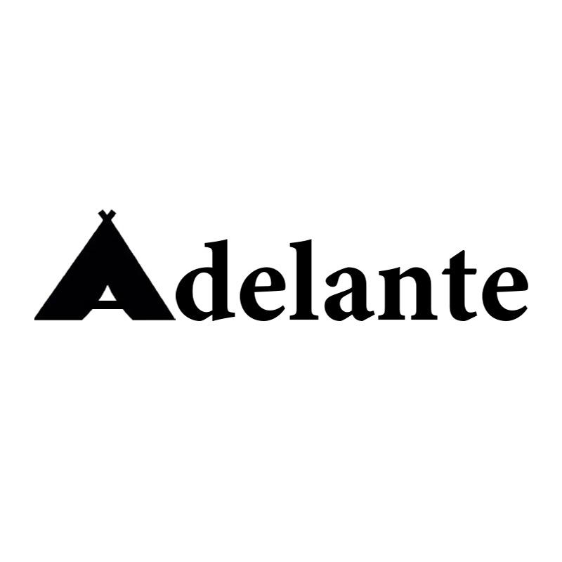 Adelante阿得兰户外照明店