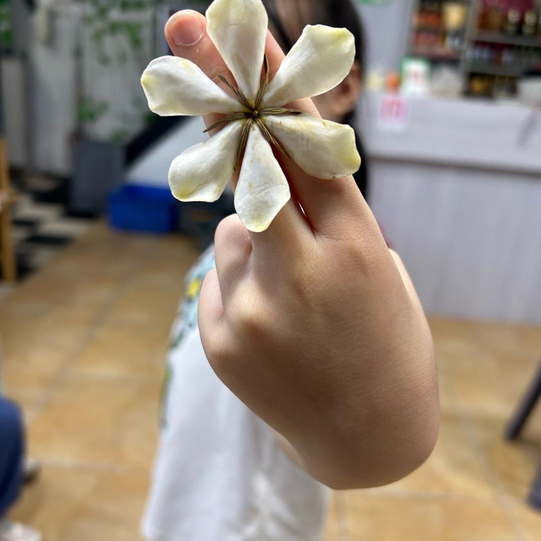 童胖子私房菜