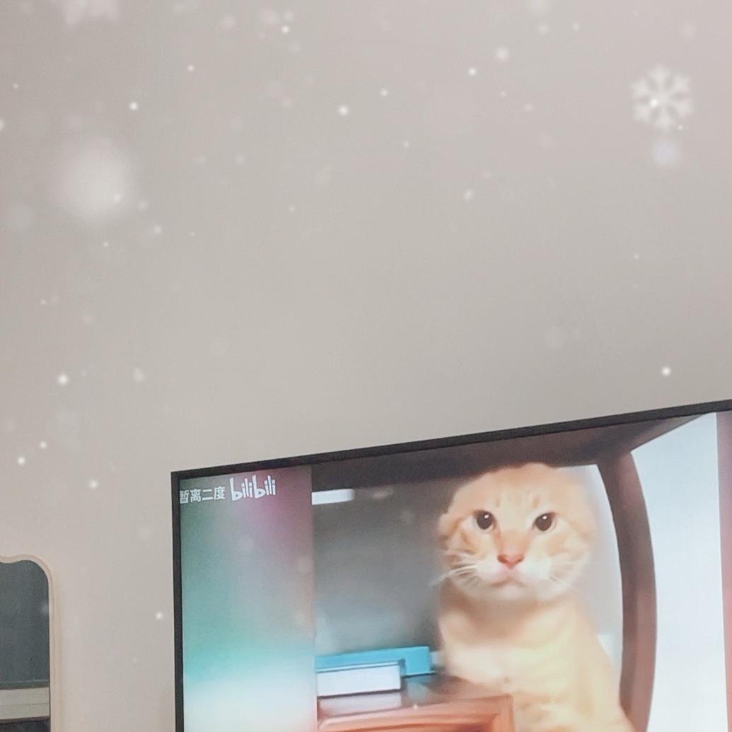 三角洲这一块儿