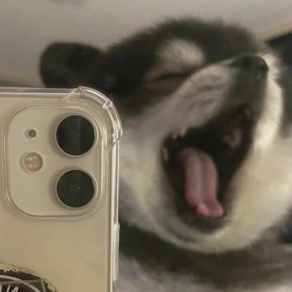 。。.