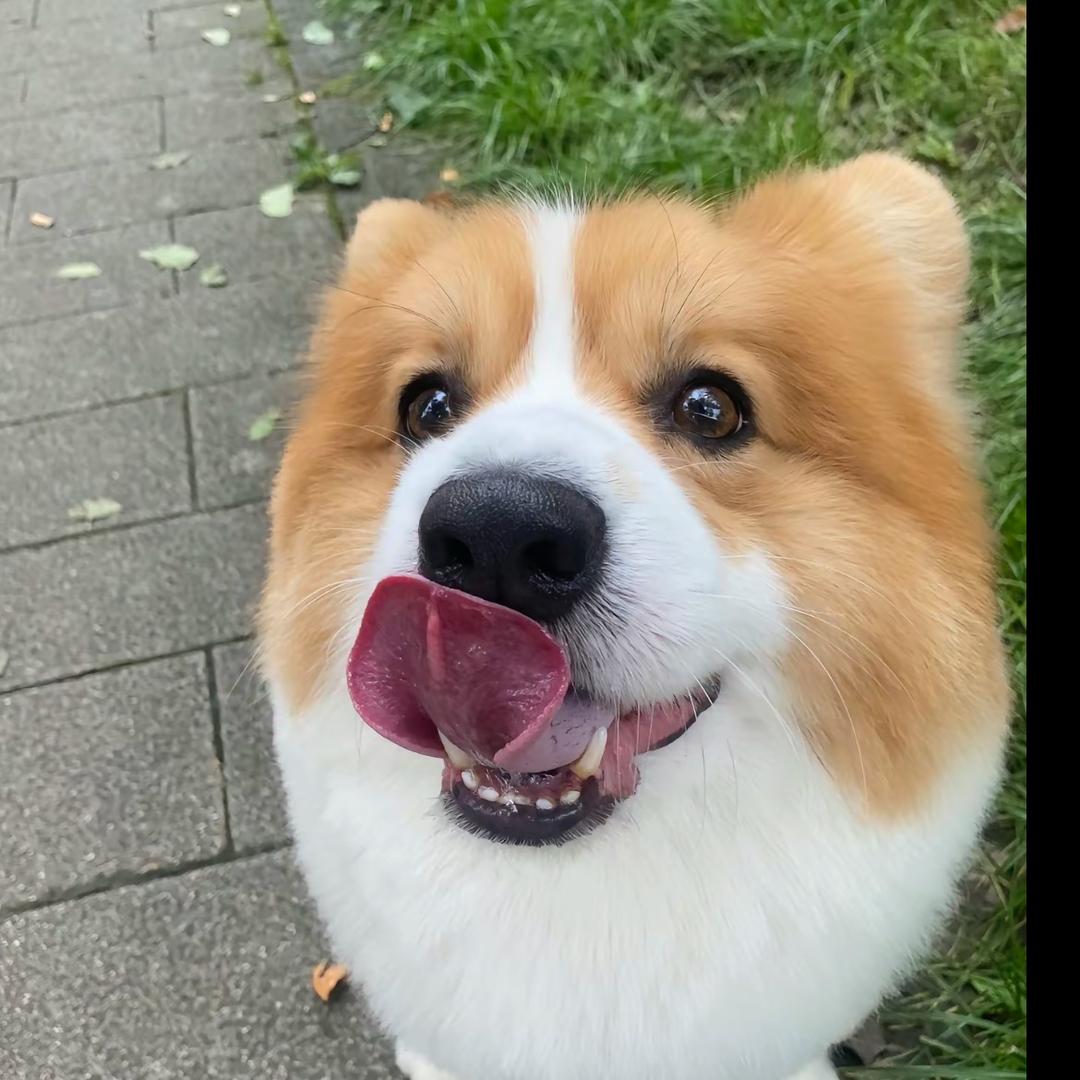 想太多