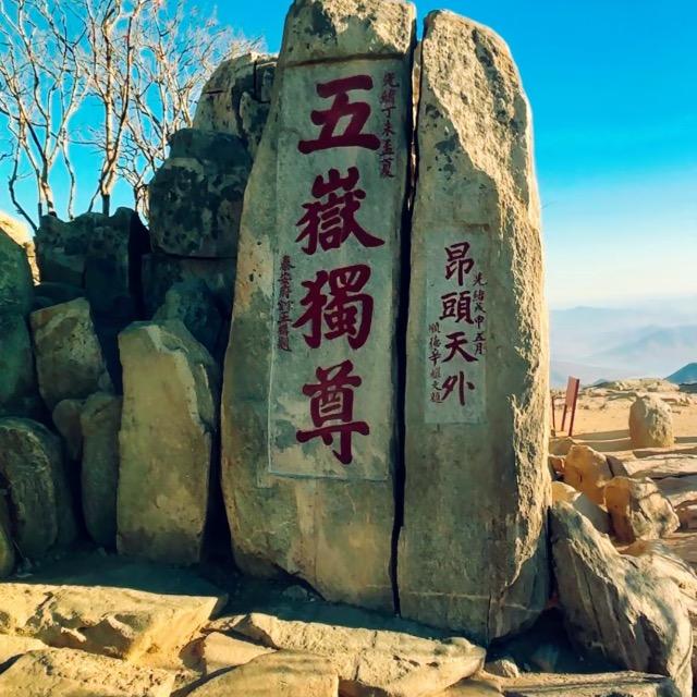 晨阳书法，春华秋实