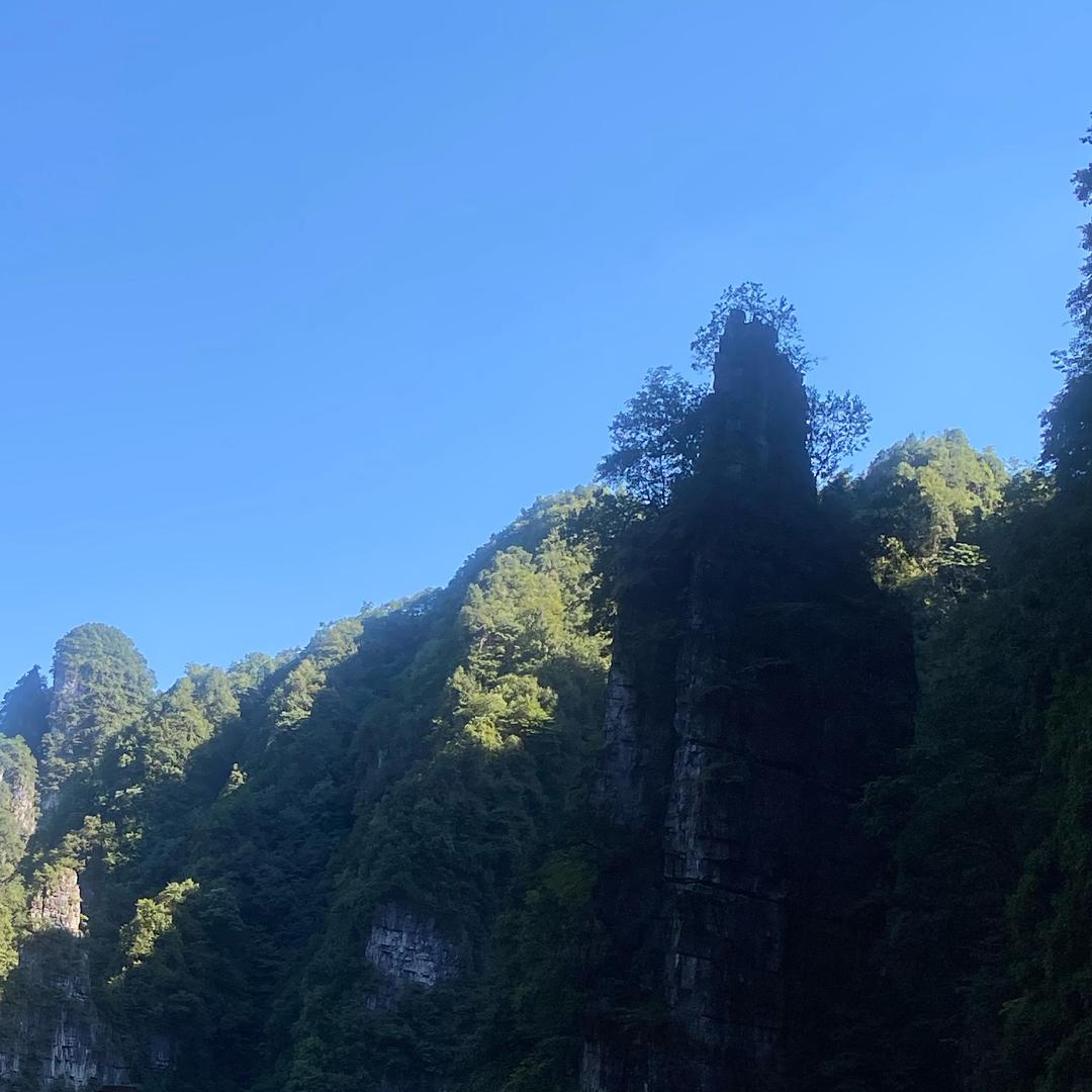 沉默