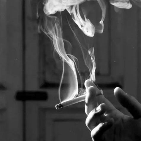 晨逸～